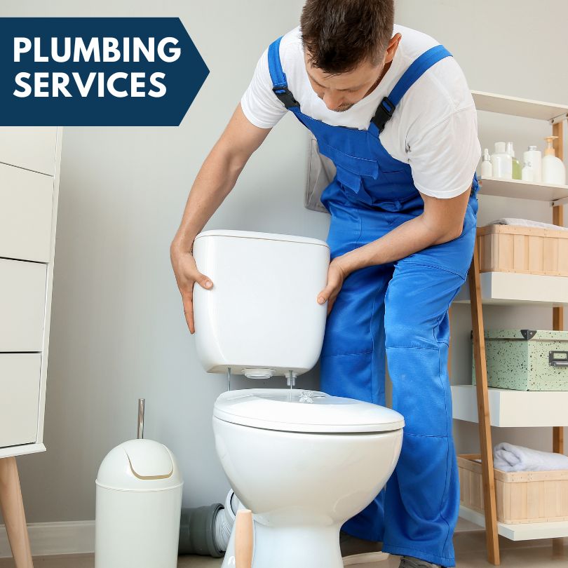 Plumbing Company in Riverdale, MI